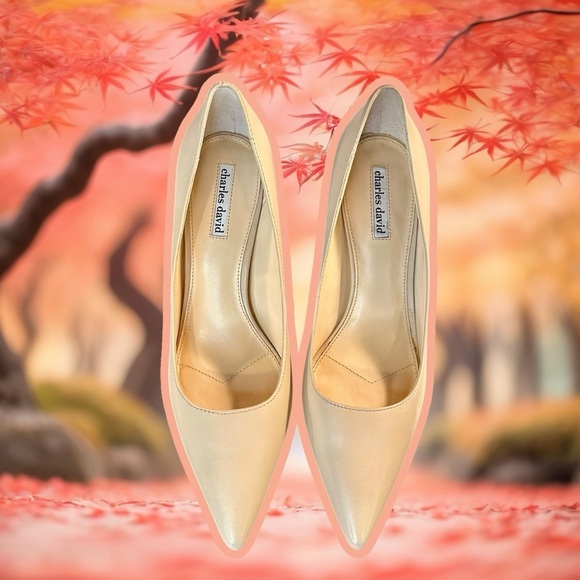 NWOT Charles David ‘Denise’ Pointed-Toe Pumps in Nude Leather Size 11 - Picture 15 of 16
